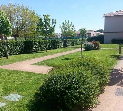 Allée sinueuse dans une pelouse verte d'une résidence, bordée par une longue haie, des arbres et des arbustes. Jour ensoleillé.